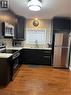 Contemporary kitchen featuring dark cabinetry, stainless steel appliances, and wood-finish flooring - 179 Vine Street S, St. Catharines, ON  - Indoor Photo Showing Kitchen With Stainless Steel Kitchen With Double Sink With Upgraded Kitchen 