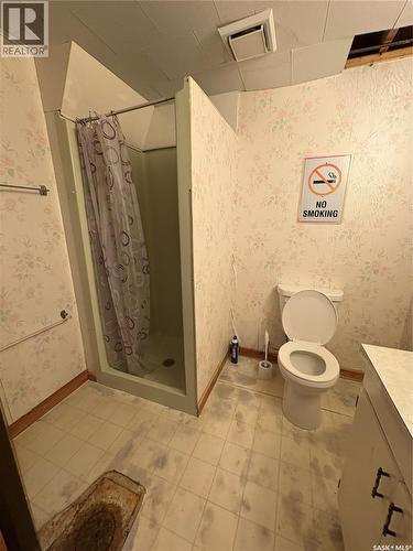 660 Alberta Avenue, Foam Lake, SK - Indoor Photo Showing Bathroom