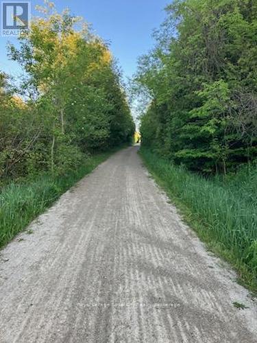 157 Leeson Street, East Luther Grand Valley, ON - Outdoor