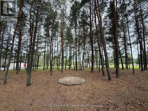 804164 Golf Course Road, Temiskaming Shores (New Liskeard), ON - Outdoor With View