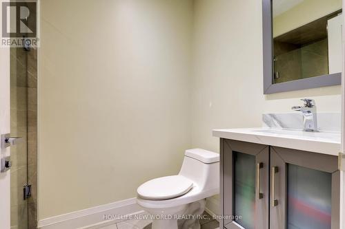 3 Burton Grove, King, ON - Indoor Photo Showing Bathroom