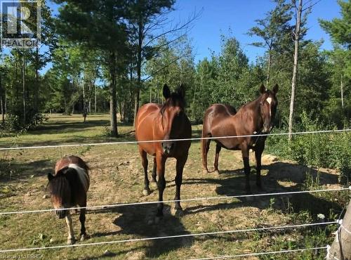 999 5 Concession W, Flamborough, ON - Outdoor