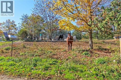 999 5 Concession W, Flamborough, ON - Outdoor