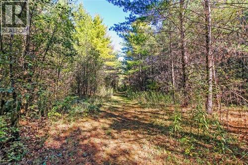 999 5 Concession W, Flamborough, ON - Outdoor With View