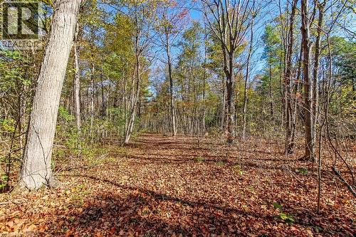 999 5 Concession W, Flamborough, ON - Outdoor With View