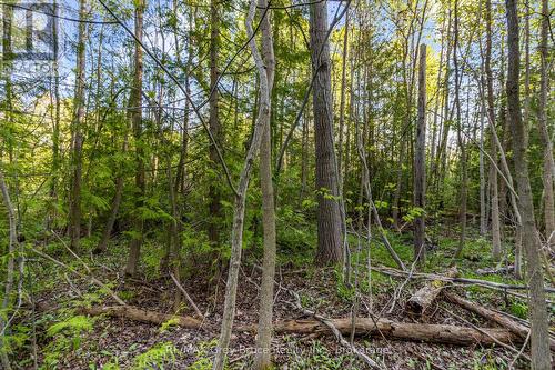 71 Maple Drive, Northern Bruce Peninsula, ON 