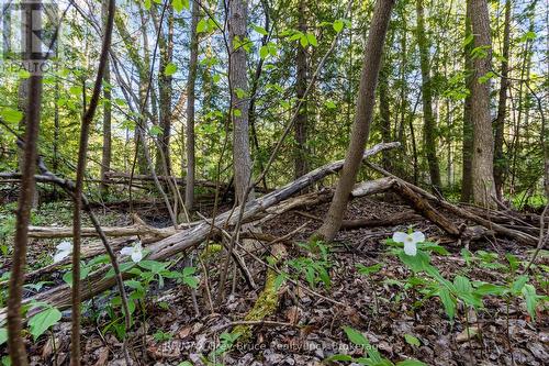 71 Maple Drive, Northern Bruce Peninsula, ON 
