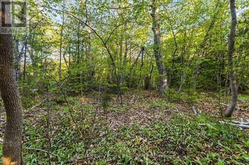 71 Maple Drive, Northern Bruce Peninsula, ON 