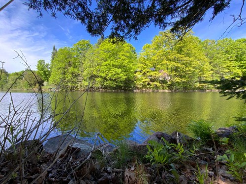 Vue - 41 Rue Du Lac-Carillon, Brownsburg-Chatham, QC - Outdoor With Body Of Water With View