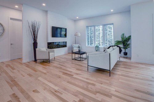 Salon - 204 Rue Des Méandres, Saint-Jérôme, QC - Indoor Photo Showing Living Room