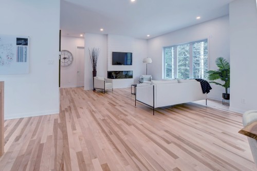 Salon - 204 Rue Des Méandres, Saint-Jérôme, QC - Indoor Photo Showing Other Room