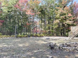 Lot - 