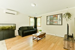 Salon - 