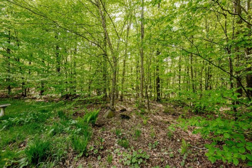 Terre/Terrain - 355 Rue Des Trembles, Saint-Georges-De-Windsor, QC - Outdoor