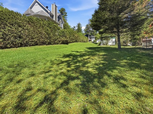Cour - 23 Ch. Phaneuf, Orford, QC - Outdoor