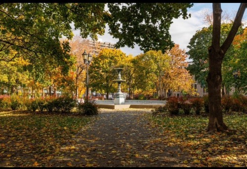 Nearby - 10-3636 Av. Henri-Julien, Montréal (Le Plateau-Mont-Royal), QC - Outdoor