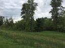 4 Beckville Beach Drive, Amaranth, MB 
