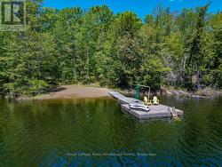 Private Dock and Beach - 