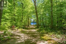 Walkway to Private Beach and Dock - 