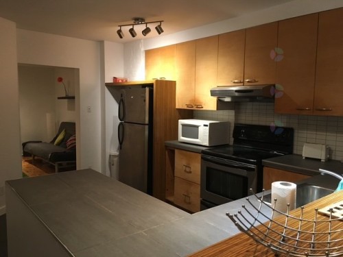 Kitchen - 2184 Av. De Lorimier, Montréal (Le Plateau-Mont-Royal), QC - Indoor Photo Showing Kitchen