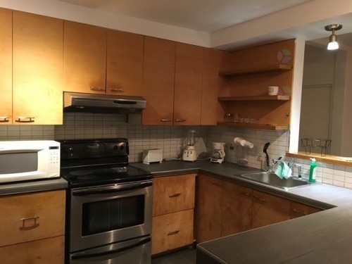 Kitchen - 2184 Av. De Lorimier, Montréal (Le Plateau-Mont-Royal), QC - Indoor Photo Showing Kitchen With Double Sink