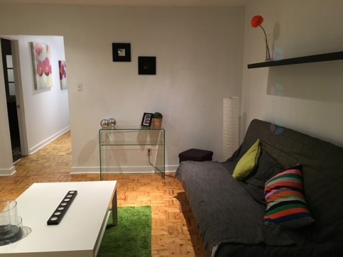 Living Room - 2184 Av. De Lorimier, Montréal (Le Plateau-Mont-Royal), QC - Indoor