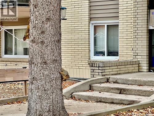 2 2358 Rae Street, Regina, SK - Outdoor With Exterior