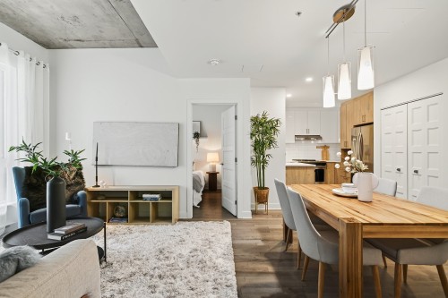 Vue d'ensemble - 109-5400 Av. Henri-Julien, Montréal (Le Plateau-Mont-Royal), QC - Indoor