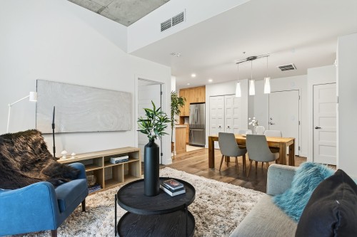 Vue d'ensemble - 109-5400 Av. Henri-Julien, Montréal (Le Plateau-Mont-Royal), QC - Indoor Photo Showing Living Room