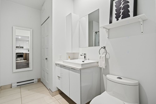 Salle de bains - 109-5400 Av. Henri-Julien, Montréal (Le Plateau-Mont-Royal), QC - Indoor Photo Showing Bathroom