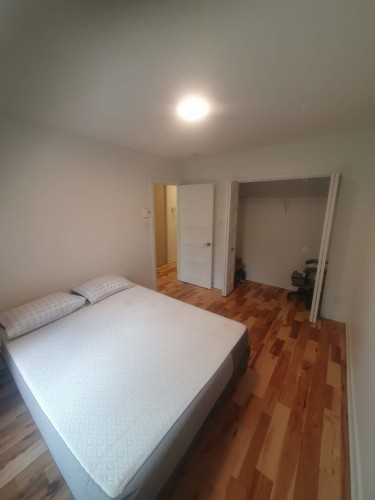 Salon - 3007 Rue Villeray, Montréal (Villeray/Saint-Michel/Parc-Extension), QC - Indoor Photo Showing Bedroom