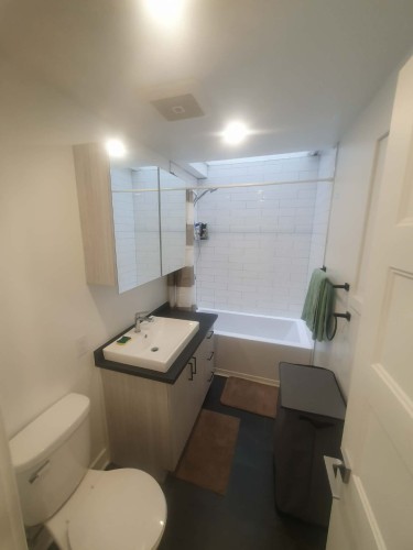 Salle de bains - 3007 Rue Villeray, Montréal (Villeray/Saint-Michel/Parc-Extension), QC - Indoor Photo Showing Bathroom