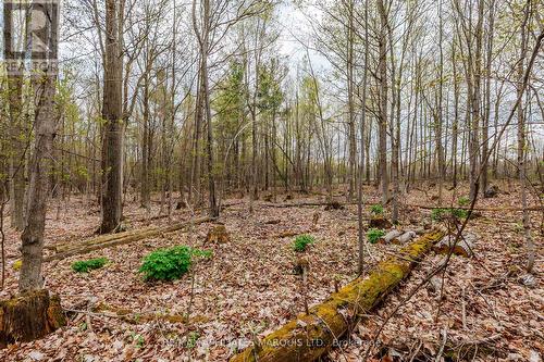 00000 Beaver Brook Road, South Glengarry, ON 