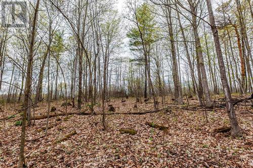 00000 Beaver Brook Road, South Glengarry, ON 