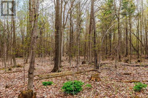 00000 Beaver Brook Road, South Glengarry, ON 