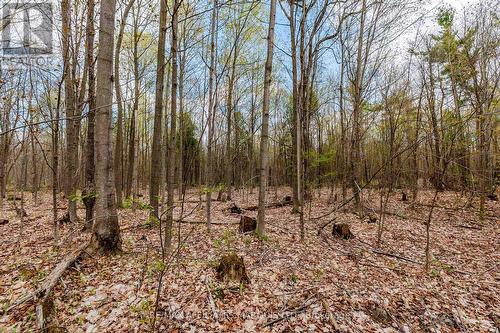 00000 Beaver Brook Road, South Glengarry, ON 