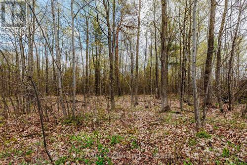 00000 Beaver Brook Road, South Glengarry, ON 