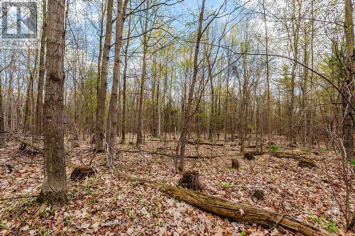 00000 Beaver Brook Road, South Glengarry, ON 