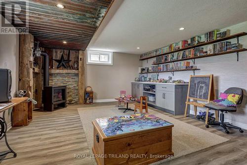 46930 SPARTA LINE - BASEMENT - 46930 Sparta Line, Central Elgin, ON - Indoor With Fireplace