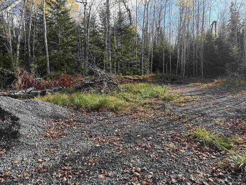 Lot 8 Shady Lane, Loch Broom, NS 