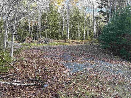 Lot 8 Shady Lane, Loch Broom, NS 