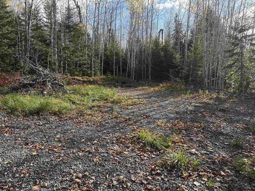 Lot 8 Shady Lane, Loch Broom, NS 