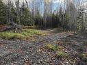 Lot 8 Shady Lane, Loch Broom, NS 