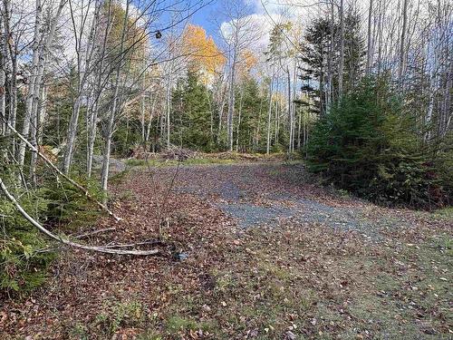 Lot 8 Shady Lane, Loch Broom, NS 