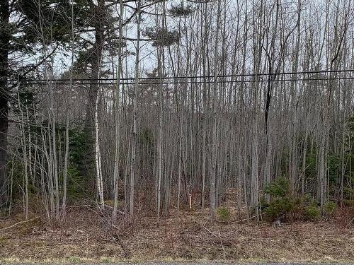 Lot 24-3 Little Harbour Road, Frasers Mountain, NS 
