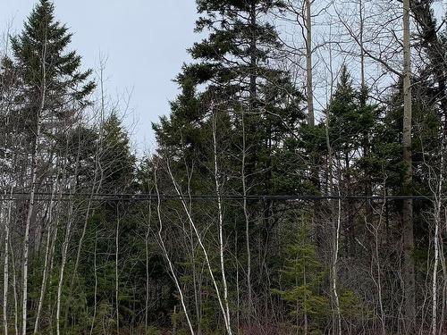 Lot 24-3 Little Harbour Road, Frasers Mountain, NS 