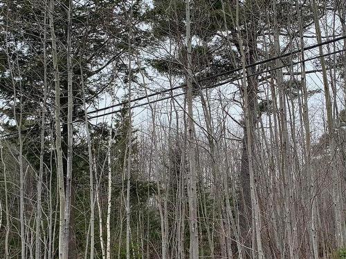 Lot 24-3 Little Harbour Road, Frasers Mountain, NS 