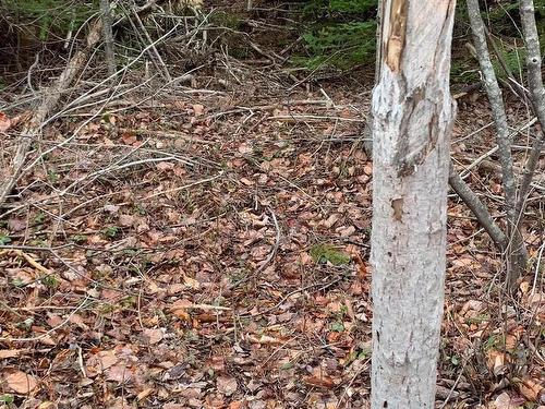 Lot 24-3 Little Harbour Road, Frasers Mountain, NS 
