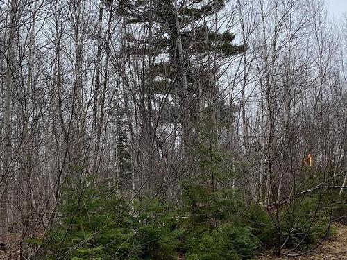Lot 24-3 Little Harbour Road, Frasers Mountain, NS 
