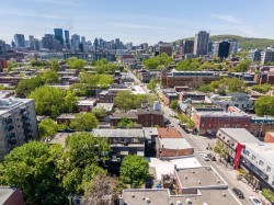Aerial View - 